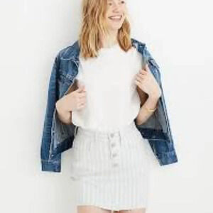 Madewell Stretch A-Line‎ Mini Skirt in Pompano Stripe: Button-Front Edition